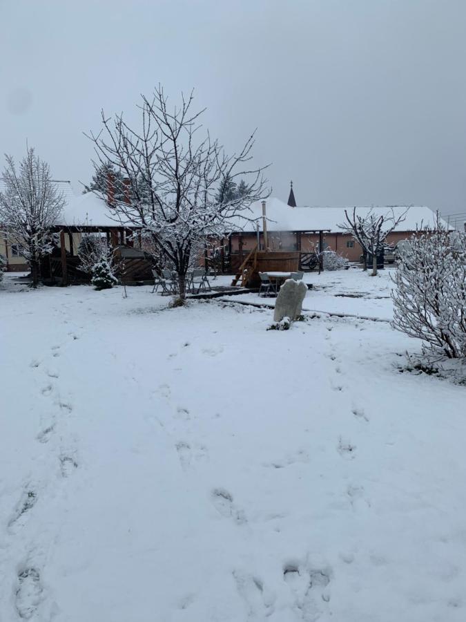 Pensiunea Marmis Riu Barbat Esterno foto