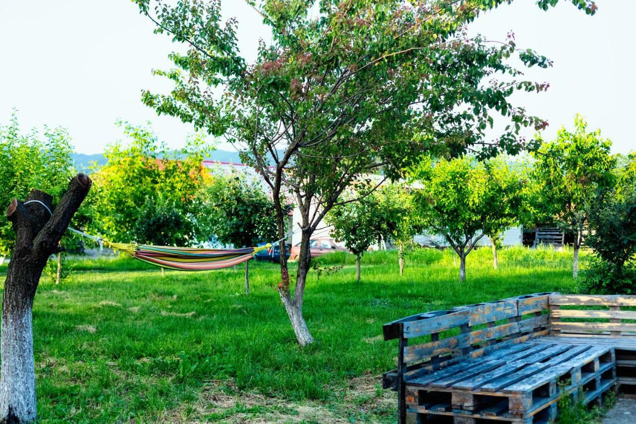 Pensiunea Marmis Riu Barbat Esterno foto